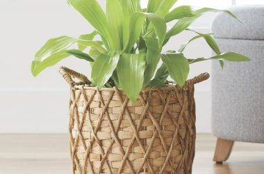 Better Homes & Gardens 11″ Basket Planter Only $9.94 (Reg. $18)!